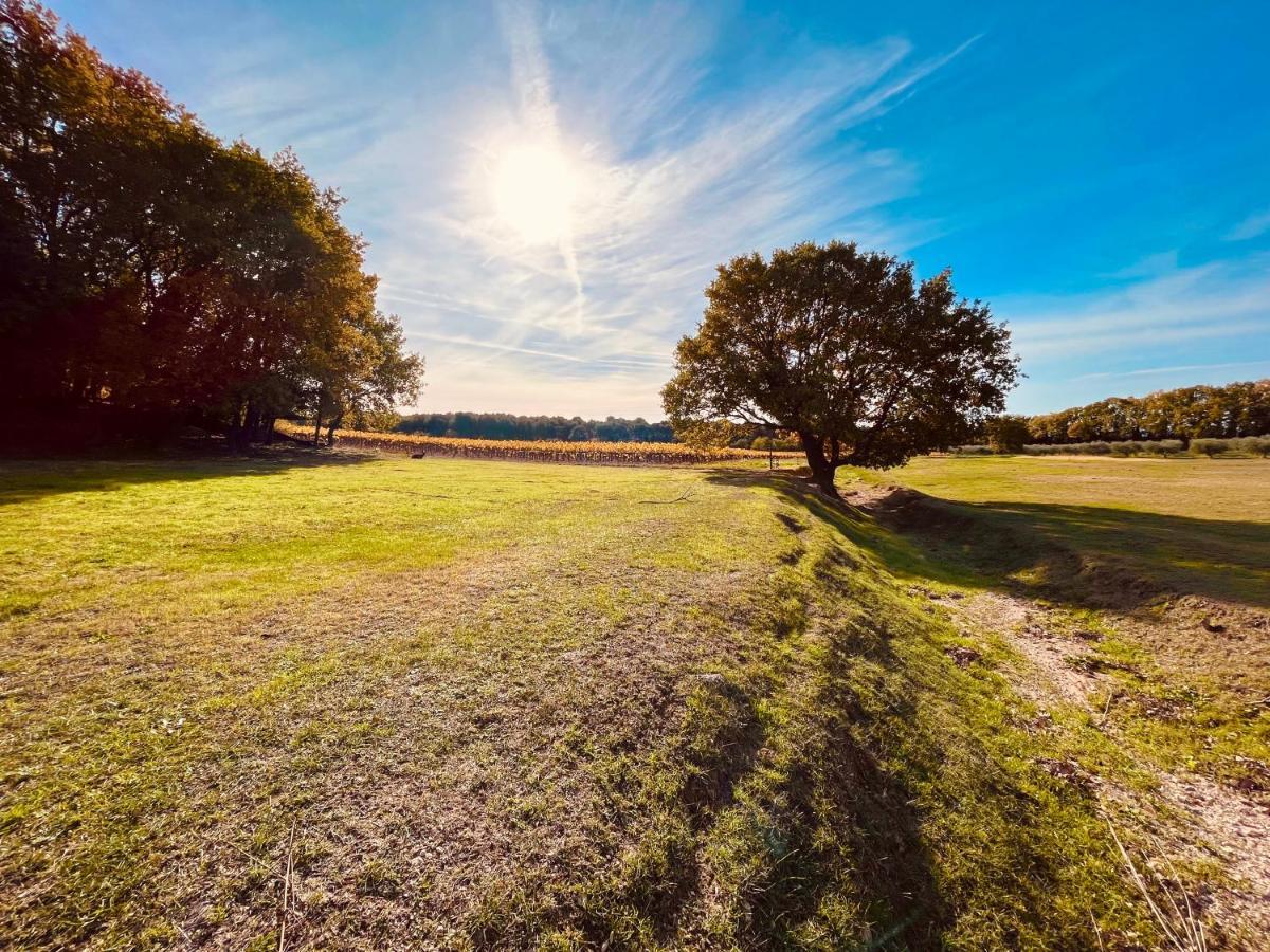 Domaine Amourella Lejlighedshotel Lambesc Eksteriør billede
